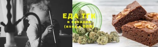 прущие грибы Верхний Тагил