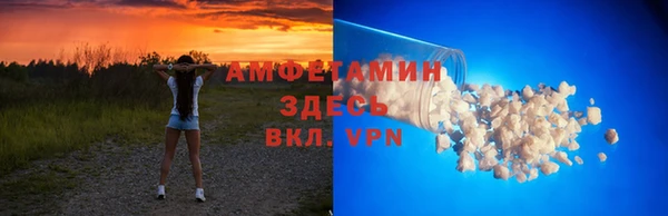 прущие грибы Верхний Тагил