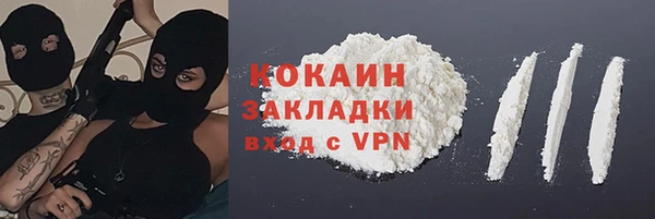 прущие грибы Верхний Тагил