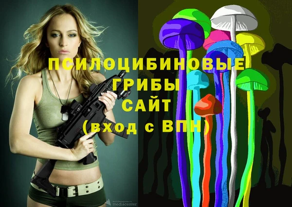 прущие грибы Верхний Тагил