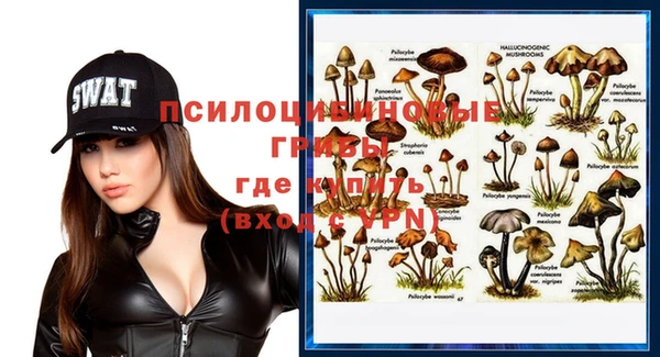 прущие грибы Верхний Тагил