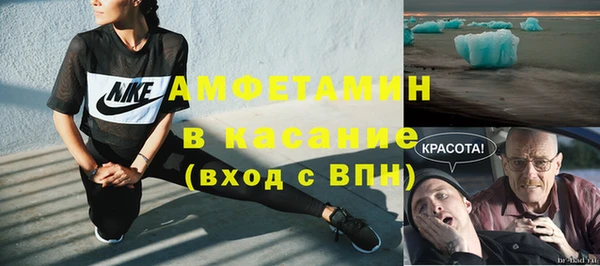прущие грибы Верхний Тагил