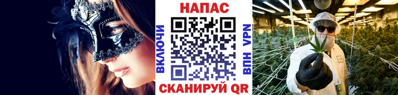 Бошки марихуана SATIVA & INDICA  цена   Плёс 